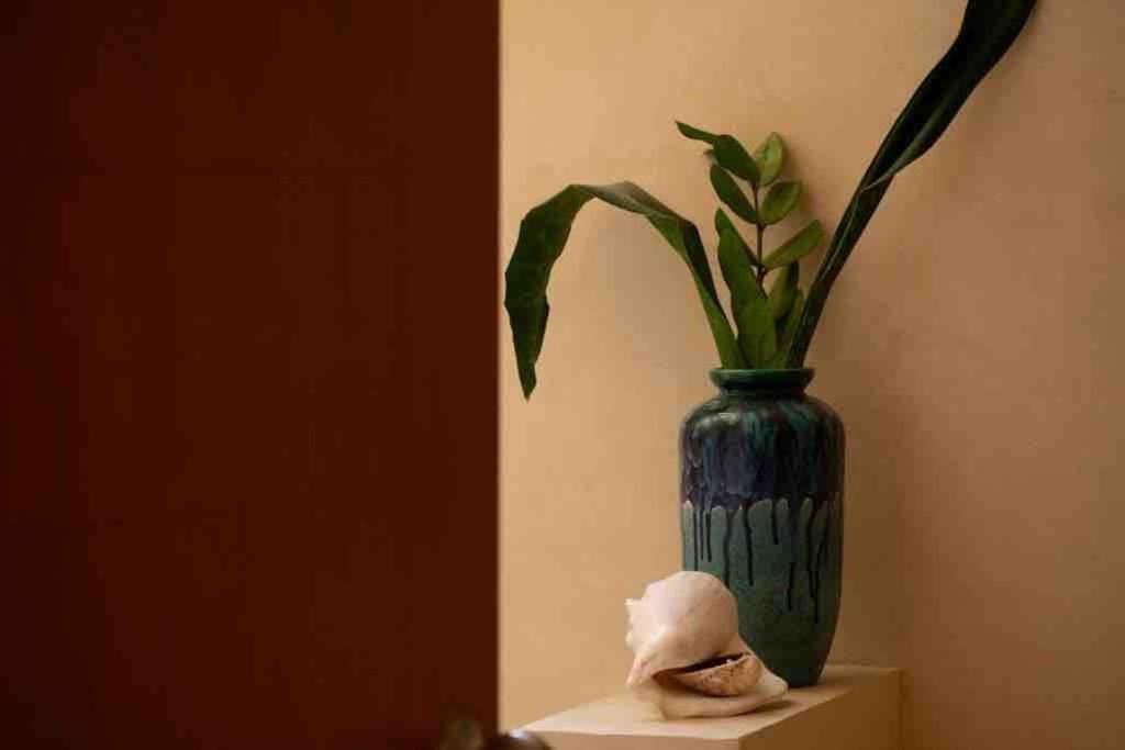 Disfruta En La Casa De Lola / Enjoy At Lolas House Progreso  Luaran gambar
