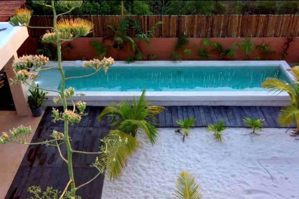 Disfruta En La Casa De Lola / Enjoy At Lolas House Progreso  Luaran gambar